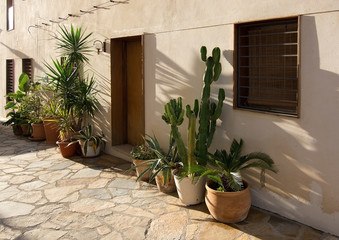 Fototapeta na wymiar Mediterranean plants in terracotta pots