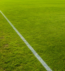 Obraz premium Line on green grass field