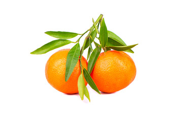Fruit tangerine