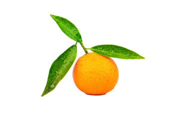 Fruit tangerine
