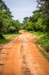 Fototapeta na wymiar Road in National Park Yala, Sri Lanka