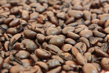 Coffee beans closeup background