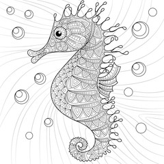 Seahorse. Adult antistress coloring page. Black and white hand drawn doodle for coloring book