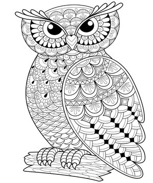 Decorative owl. Adult anti-stress coloring page. Black and white hand drawn illustration for coloring book