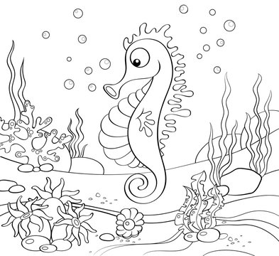Seahorse. Underwater world. Black and white illustration for coloring book