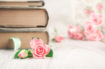 Two old books on wooden table among pretty little pink roses, te