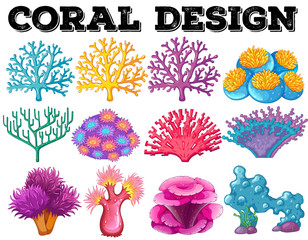 Different kind of coral design