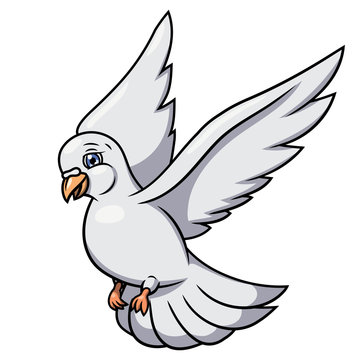 Flying white dove 2