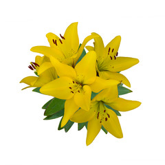 bouquet of yellow lilies
