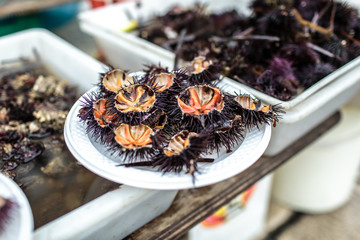 Sea urchins seafood