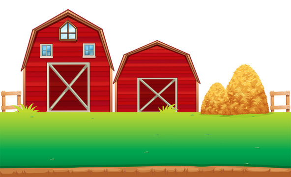 Red barns on the farm