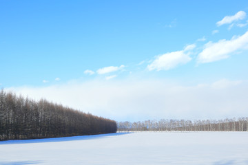 冬の北海道 十勝　Winter of Hokkaido Japan
