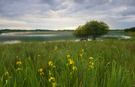 Co.Roscommon