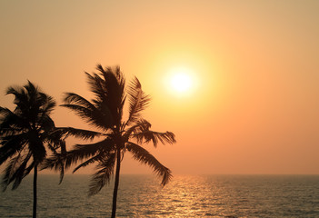 Fototapeta na wymiar Palm Trees Silhouette At Sunset