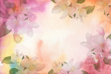 Fototapeta na wymiar Flower watercolor background. Flowers of apple.