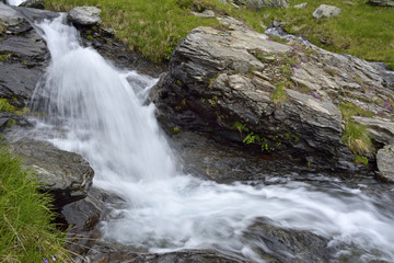 Deep forest waterfall