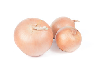 Bow. Isolated on white background