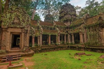 Fototapeta na wymiar Ta Prohm Temple in Angkor, Siem Reap, Cambodia.