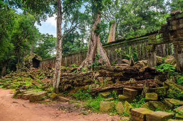 Damage wall stones in dense jungle. Angkor, Cambodia.