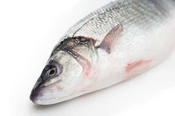 Spigola fresca 