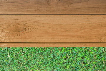 wood floor and Shrub