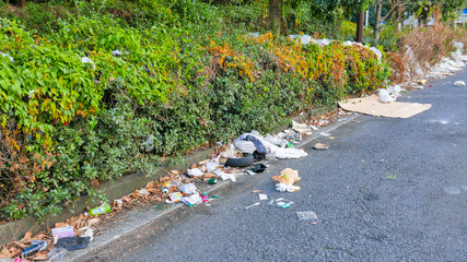 ゴミの不法投棄　モラルハザード