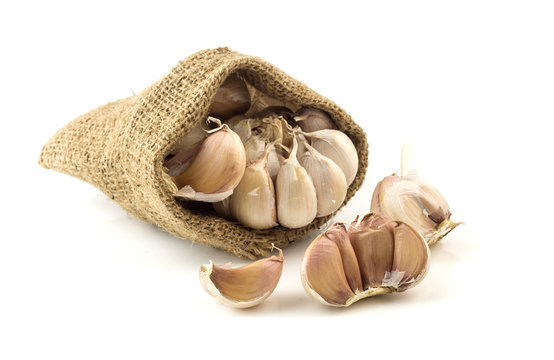 Group of garlics