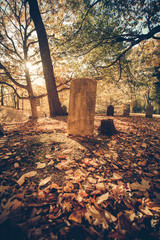 Old graveyard cemetery with headstone on fall day