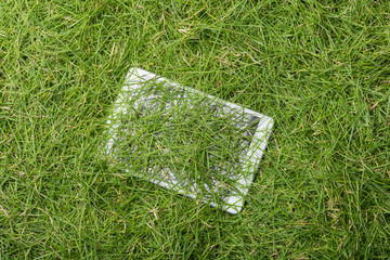 Tablet lying on the green grass