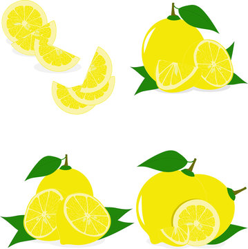 Lemon slices, collection of vector illustrations on a transparent background