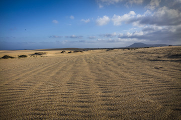 Sand patterns Natural park,Corralejo,Canary-islands,Spain