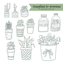 Cute hand drawn terrariums, houseplants and succulents in pots. Outline vector set.