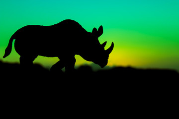 rhinoceros on sunset background
