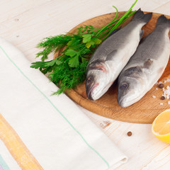 Two fresh sea bass on a white background. 