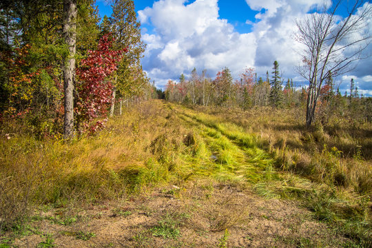Exploring The Great Outdoors. ATV trail through the wilderness of Michigan's Upper Peninsula.