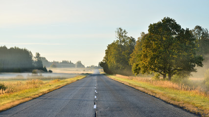 road in a rural area covered with morning fog