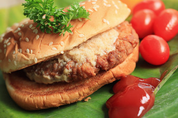 hamburger with tomato sauce