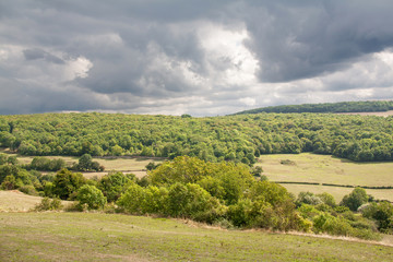 Fototapeta na wymiar Paysage forestier sous ciel couvert, Chateauneuf, Côtes d'or, Bourgogne, France
