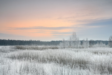 Fototapeta na wymiar winter landscape with hoar-frost at the sunrise
