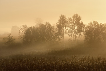 Fototapeta na wymiar Rural field covered with morning fog