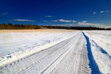 Fototapeta na wymiar classic winter scene of a road in rural area