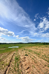 classic rural landscape. Green field against blue sky