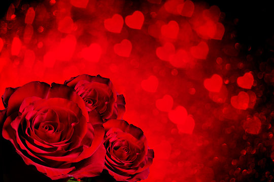 Valentines day background with roses © Alexander Raths