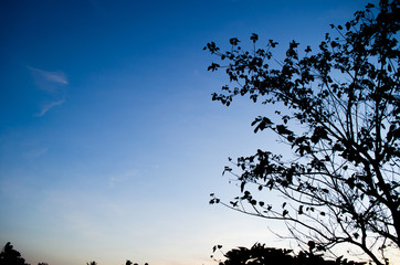 blu sky have clouded