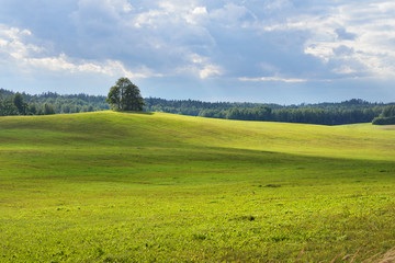 Fototapeta na wymiar Field in the countryside area