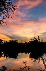 Sunset with silhouette tree