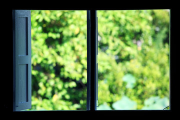 open window with green outside © sakhorn38