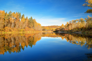 Fototapeta premium Autumn river Gauja in Sigulda, Latvia. Landscape with reflection