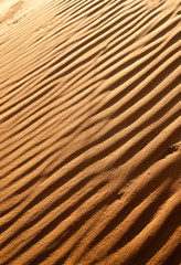 Fototapeta na wymiar desert dunes close-up