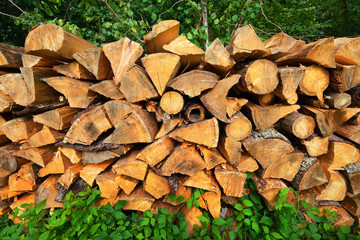 freshly made firewood in the forest - 100121500